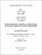 Tesis-Selene-Solis.pdf.jpg