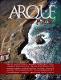 arquetipos-37.pdf.jpg